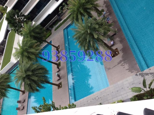 NV Residences (D18), Condominium #90191522